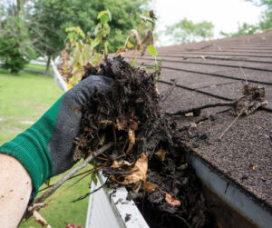 How to Clean Your Dallas-Ft. Worth Gutters